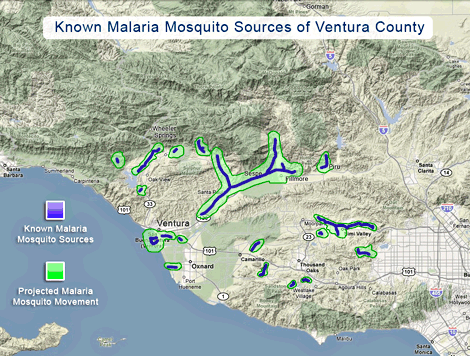 Map showing known malaria mosquito sources and projected movement in Ventura County, with marked areas in green indicating mosquito presence and arrows depicting movement patterns.