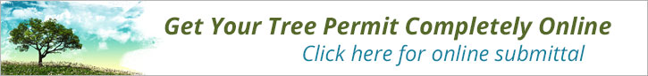 Illustration of a tree and blue sky with text: "Get Your Tree Permit Completely Online. Click here for online submittal."