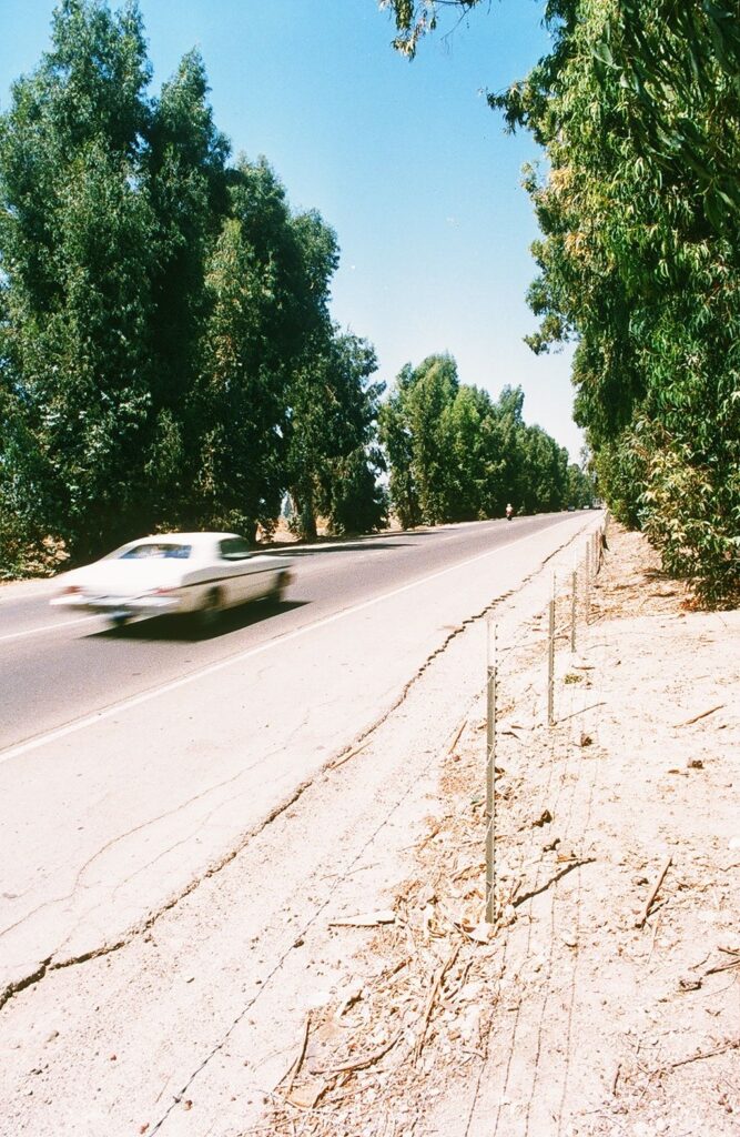 A blurry car speeding on a clear roadside bordered by trees and shrubs under a blue sky.