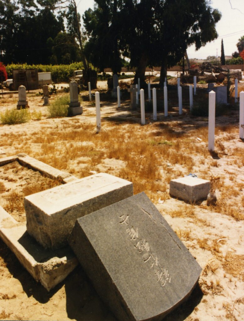 Fallen headstone in Japanese Cemetery before restoration