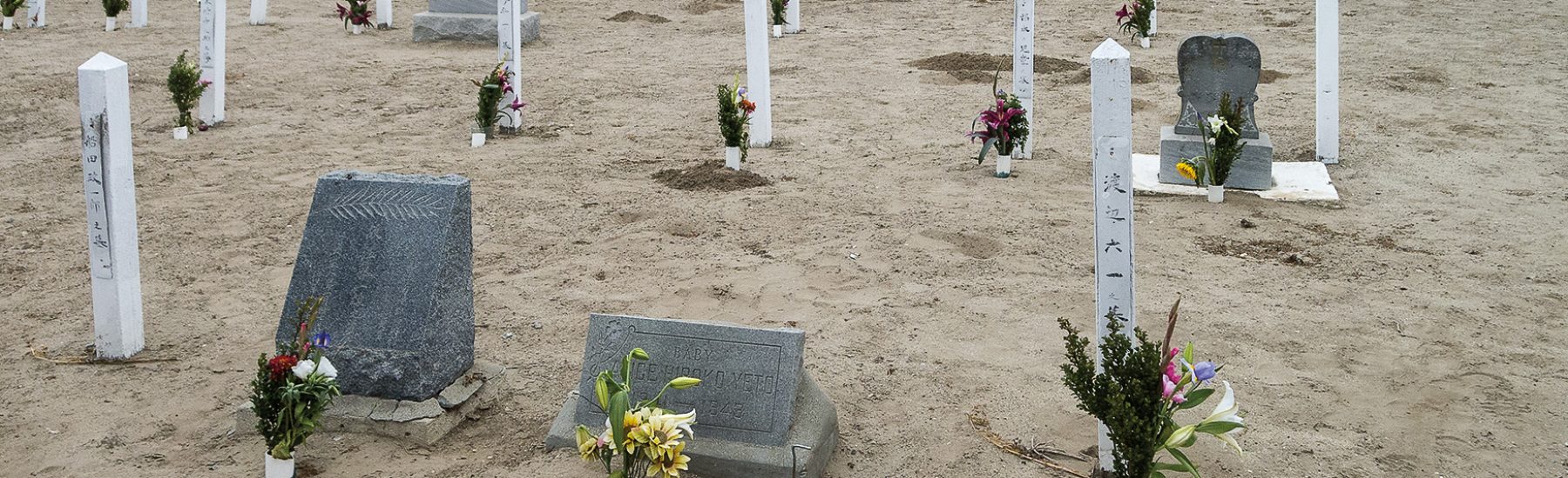 Japanese Cemetery with grave markers and flowers on sandy ground