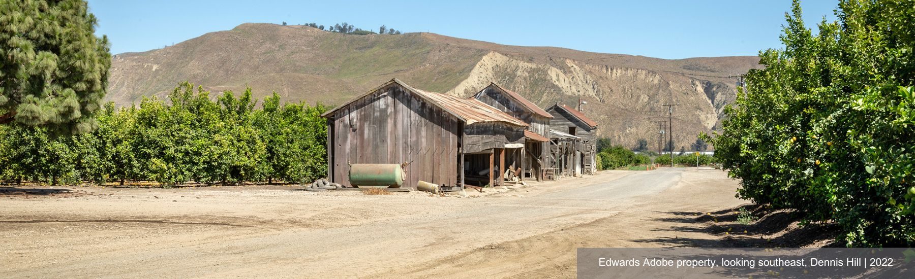 Dirt road leading to old wooden buildings with lemon orchards and hills in the background.